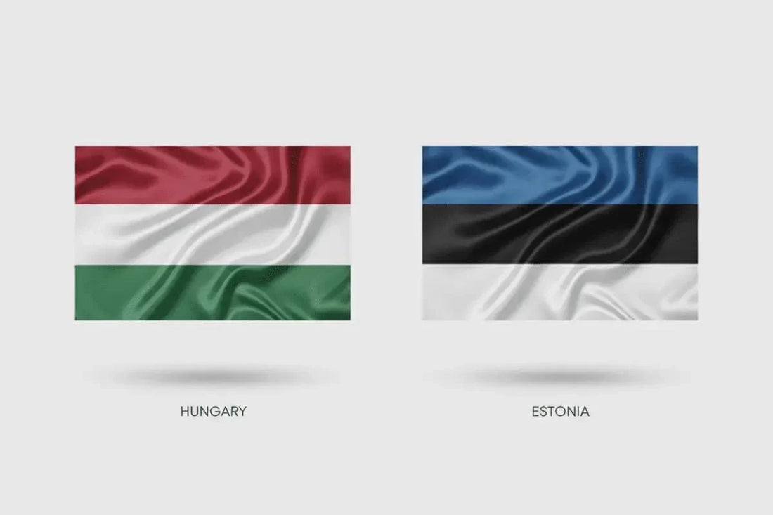 Hungary vs Estonia vs Bulgaria: Which EU Country Is Best for Your Company?
